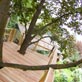 pictures/treehouse/treehouse_06